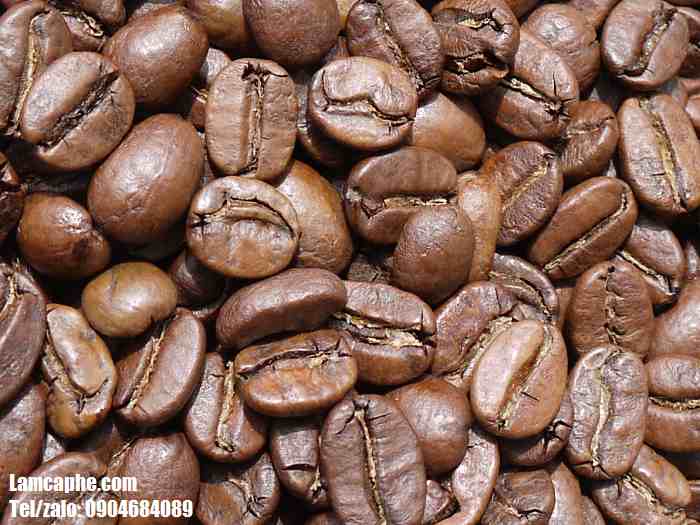 Cà phê hạt rang sẵn, cà phê hạt nguyên chất giá sỉ - 1