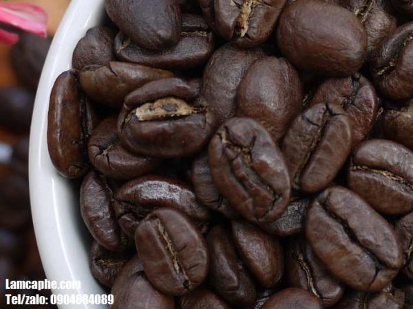 Cung cấp giá sỉ các loại cà phê hạt nguyên chất tại Thừa Thiên Huế
