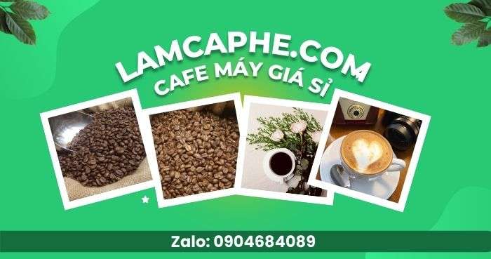 cafe-robusta-0904684089-071022_1_101