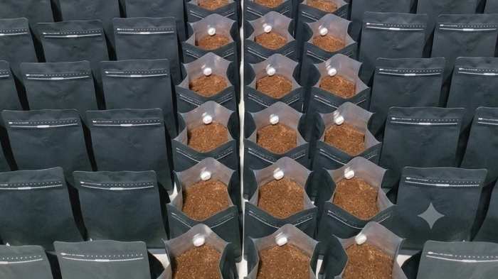 ca-phe-may-binh-duong-dong-goi-theo-yeu-cau-0765669678_1